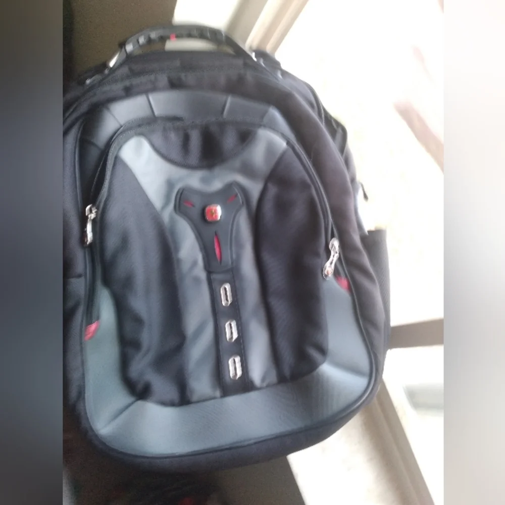 Black and Gray Men's Swiss Guard Backpack 19